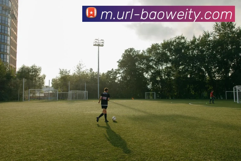 多媒体互动体验