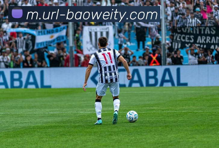 宝威体育APP 体育赛事宣传图